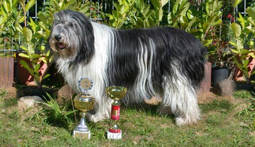 FIONA  von der Bismarckwarte