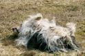 bg-97