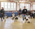 balou-3platz-2
