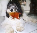 bijou-blatt