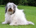bijou1
