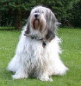 bijou2