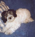 c2-18
