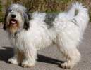 Ponwood�s LINUS